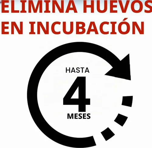 Vista 7 de Raid Asesino de pulgas de 16 onzas (paquete de 3)