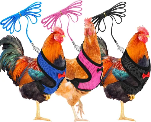 Vista 8 de BOAO Arnés de pollo ajustable de 3 piezas con correa y cinturón a juego, cómodo chaleco transpirable para entrenamiento de pollo para pato o ganso