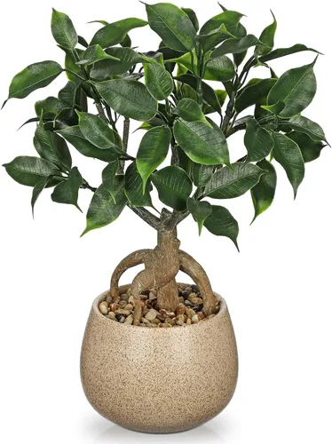 Vista 8 de Árbol Bonsái Artificial, Pequeño Árbol Bonsái de Laurel de Bahía de 13" Árbol Bonsái de Interior Planta Falsa en Maceta Planta Decorativa Falsa