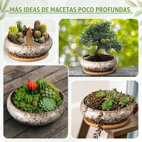 Vista 6 de 5 Piezas Macetas de Cerámica Redondas Grandes y Poco Profundas para Suculentas de 7.3'' y 4'' con Orificio de Drenaje Maceta de Bonsái Poco Profunda