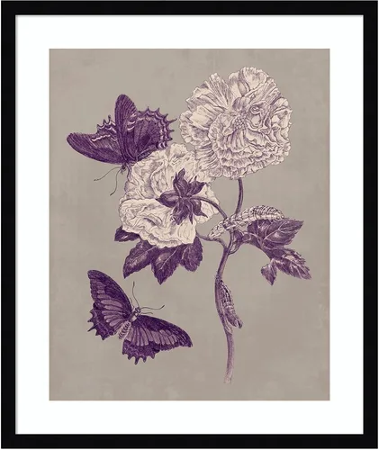 Vista 18 de Amanti Art Lienzo decorativo para pared, 24 x 20 pulgadas, estudio de la naturaleza en ciruela y gris pardo IV por Maria Merian, arte de pared