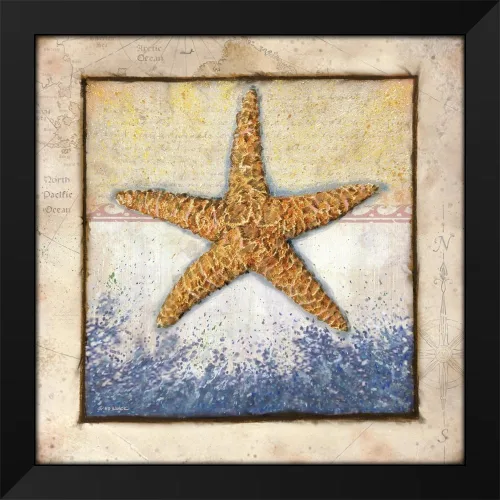 Vista 2 de ArtDirect - Wargo, Ed 15x15 Black Modern Framed Art Print Titled: Starfish