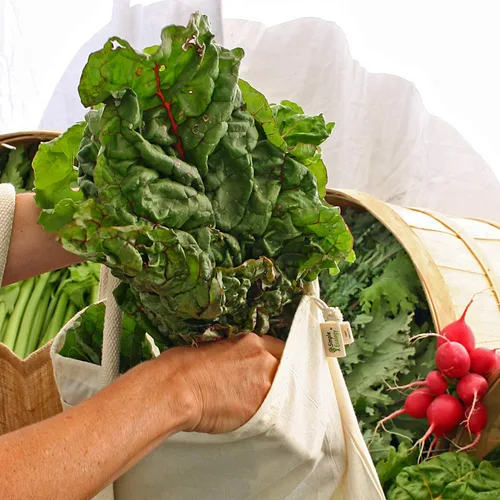 Vista 6 de Simple Ecology Bolsas reutilizables para compras y almacenamiento, muselina de algodón orgánico, juego de 6 (2 unidades de L, M, S)