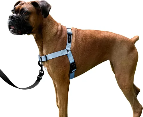 Vista 15 de ShawnCo Dream Walk Arnés para Perros Sin Tirones - Ajustable, Cómodo, Fácil de Usar, Cabestro para Mascotas para Ayudar a Detener los Tirones