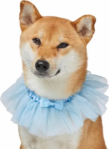 Vista 3 de Blueberry Pet Collar de perro ajustable My Little Princess 2022 con malla bordada y pajarita, azul bebé, talla XS