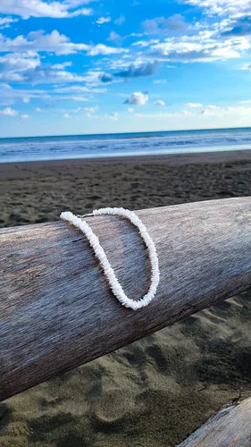 Vista 6 de BlueRica - Collar de trocitos de conchas de puka
