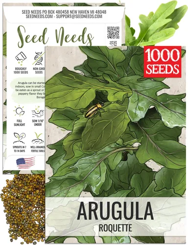 Vista 8 de Seed Needs, Semillas de acedera de hoja grande, 500 semillas tradicionales para plantar Rumex acetosa, hierba medicinal o culinaria sin OMG y sin