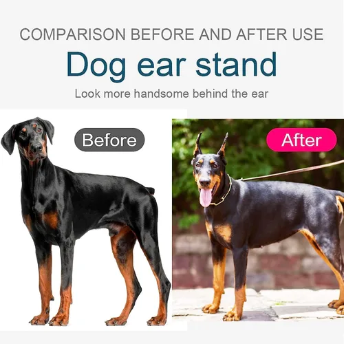 Vista 3 de Pacify Doberman Kit de publicación de orejas de perro, herramienta de soporte para orejas de perro con cinta Doberman Pinscher Dogs