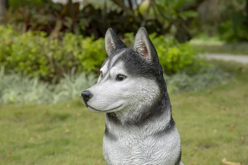 Vista 10 de HI-LINE Gift Ltd. - Husky siberiano grande en blanco y negro sentado