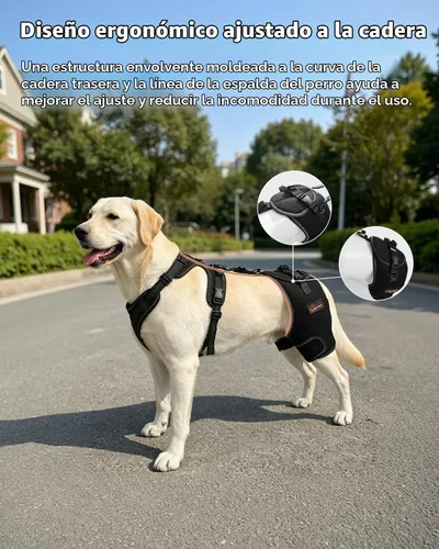Vista 4 de Soporte de cadera para perro, ajustable, para displasia de cadera, talla L Negro