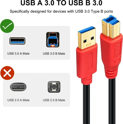 Vista 4 de Tan QY Cable USB 3.0 A macho a B macho de 1 pie, tipo A a B macho compatible con unidades de disco duro, impresoras, escáner, concentrador USB