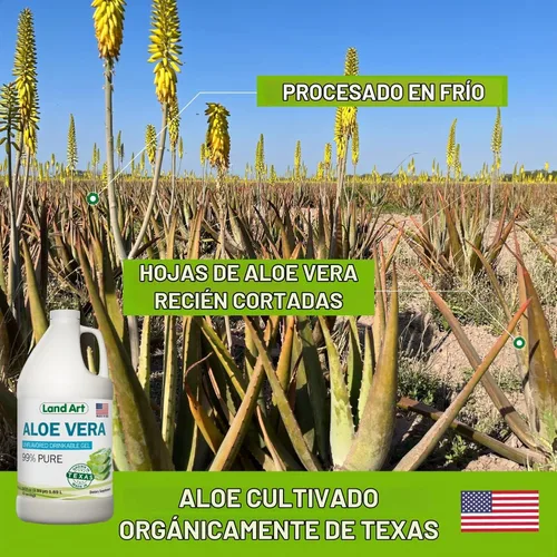 Vista 7 de Land Art Pure Aloe Vera Gel Bebible Sin Sabor 64 fl oz + Clorofila Líquida Sabor Menta 16 fl oz