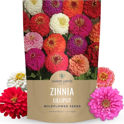 Vista 8 de Zinnia Lilliput Mix - Paquete grande de 1 onza - 4,000 semillas de flores para plantar - Zinnia elegans