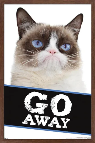 Vista 9 de Trends International Grumpy Cat - Póster de pared con texto en inglés «Go Away», 14.725 x 22.375 pulgadas, versión enmarcada de madera de granero