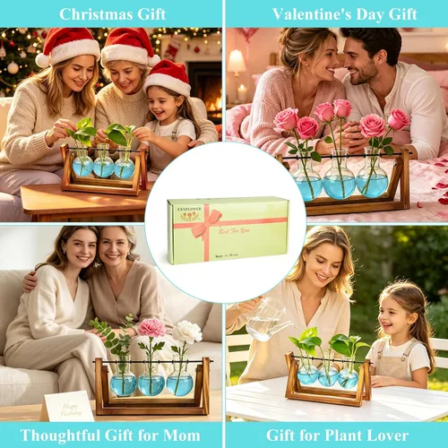 Vista 8 de XXXFLOWER Kit de terrario para plantas con soporte de madera, 3 jarrones de Azul