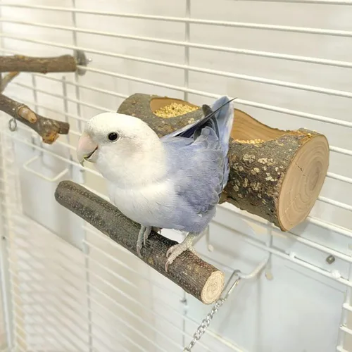Vista 5 de Cuenco de alimentación de madera de manzana para animales pequeños, plato de comida para conejillo de indias, loros de chinchilla