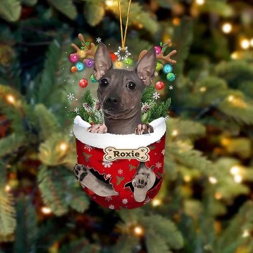 Vista 149 de LOVELYPOD Adorno Personalizado de Perro Affenpinscher, Adornos de Navidad Affenpinscher Regalo para Amante de Perros, Adorno de Navidad Colgante