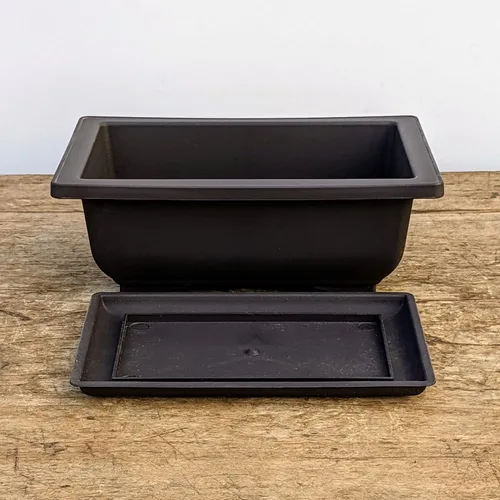 Vista 9 de Tinyroots Bonsai Soil Plus un paquete de tres macetas de entrenamiento para bonsái de seis pulgadas