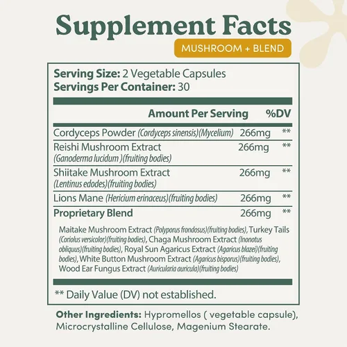 Vista 3 de Mushroom+ Blend 10 cápsulas complejas de hongos Melena de león, Reishi, Cordyceps y Chaga Enfoque + Claridad, energía y apoyo inmunológico