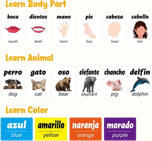 Vista 7 de Ceiba Tree Tarjetas Didácticas en Español 100 Frases de Conjugación de Verbos de Inglés a Español Adjetivos Colores Tarjetas Didácticas Educativas