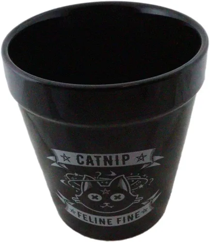 Vista 7 de Ebros Gift Wicca Brujería Gótica Magia Maceta de Cerámica Negra, Contenedor Floral Alquímico Oculto, Jardinera para Alquimista, Florero, Pulgar