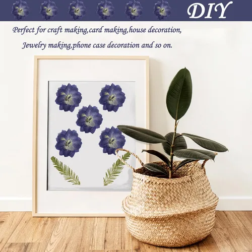 Vista 6 de Flores secas prensadas moradas grandes para adornos de manualidades de resina, 60 flores naturales prensadas para joyería de resina, caja