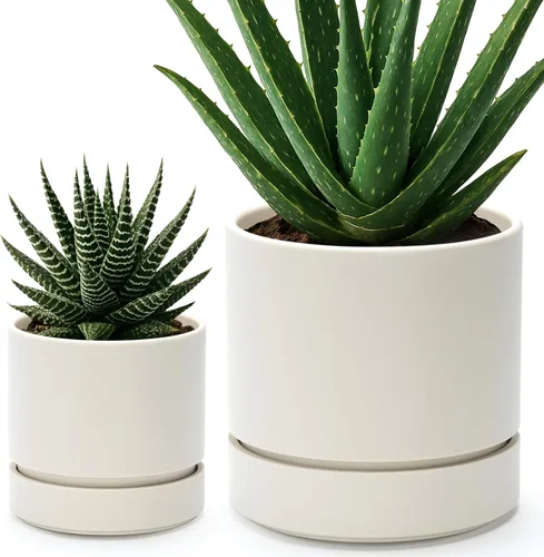 Vista 33 de Phoenix Vine 4 Inch Planter Pot with Drainage Hole & Saucer, Deep Water Catch Tray, Straight Cylindrical Round Pot for Plants, Olive, Pack of 1