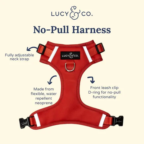 Vista 2 de Lucy & Co. The Bolt of Lightning Arnés para perro sin tirones para perros, chaleco para dejar de tirar y caminar fácilmente, cómodo producto