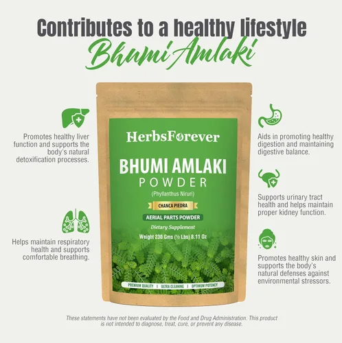 Vista 7 de HerbsForever Bhumi Amalaki Powder Phyllanthus Niruri Hierba ayurvédica para el bienestar, desintoxicación y vitalidad Sin OMG, vegano, sin