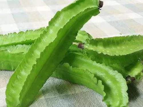 Vista 4 de Semillas de frijol aladas Psophocarpus verde natural Tetragonolobus 100PCS Semillas