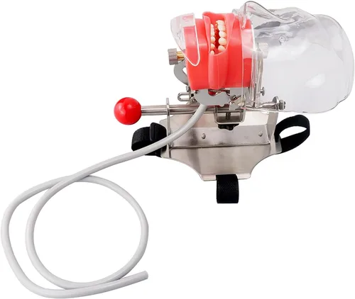 Vista 2 de NSKI Simulador Dental Nissin Manikin Phantom Head Dental Phantom Head Modelo Banco Soporte para Educación Dentista