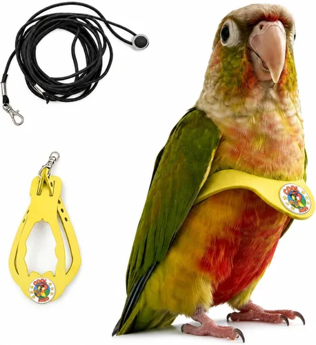 Vista 34 de Juego de arnés ajustable y correa para pájaros pequeños, apto para periquitos, conures, cacatúas, mejillas verdes, loros cuáqueros (verde, XS) 6350-6