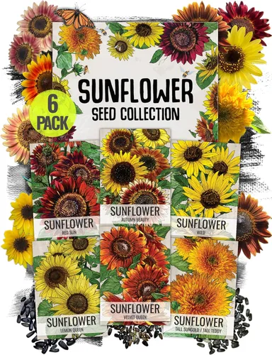Vista 15 de Seed Needs - Semillas de Capuchina para Plantar Flores Comestibles - Juego de Colección de Mezcla Joya y Capuchinas de Doble Brillo para Atraer