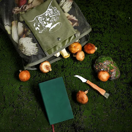 Vista 6 de Seajan Kit de Forraje de Setas de 18 Piezas con Bolsa de Caza, Cuchillo, Cepillo, Tarjetas Guía y Cuaderno para Amantes de las Setas (Verde Ejército)