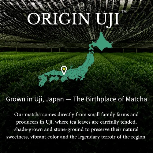 Vista 4 de Origin Uji Grado Ceremonial Superior de Polvo de Té Verde Matcha, Cultivar Único Yabukita, Primera Cosecha, Cultivado a Sombra, Molido en Piedra por
