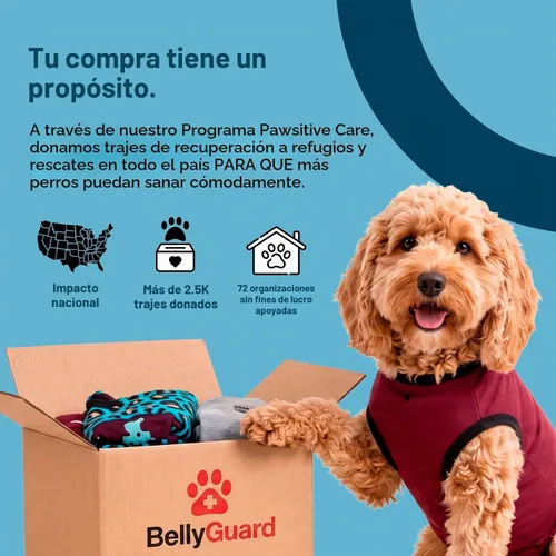 Vista 6 de BellyGuard Traje de recuperación de cirugía para perros, mameluco para perros para cuidado posoperatorio, ropa de recuperación para hembras
