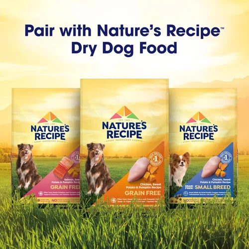 Vista 8 de Nature's Recipe Receta de pollo y carne de res sin granos en caldo sabroso alimento húmedo para perros, taza de 2.75 onzas, 12