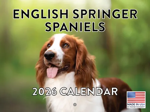 Vista 15 de Calendario mensual de pared Airedale Terrier Dog 2027 rojo (Airedale Terrier)