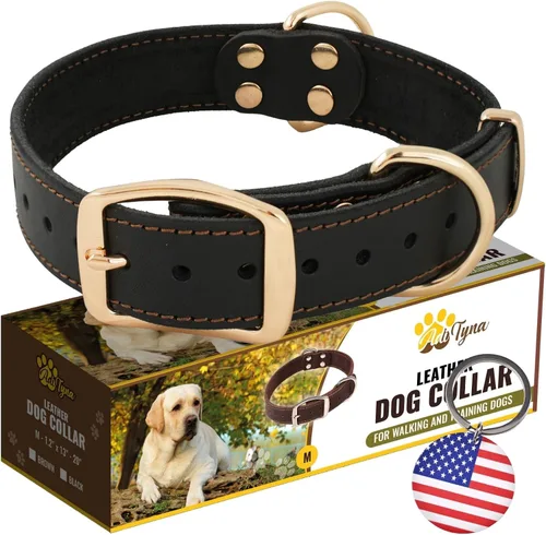 Vista 9 de Collar de perro de cuero negro resistente, collar de perro suave y fuerte para cachorros o razas pequeñas
