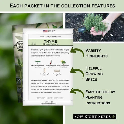 Vista 2 de Sow Right Seeds - Colección de semillas de tomillo para plantar - Tomillo y tomillo rastrero - Combinación única de hierbas y flores para el jardín