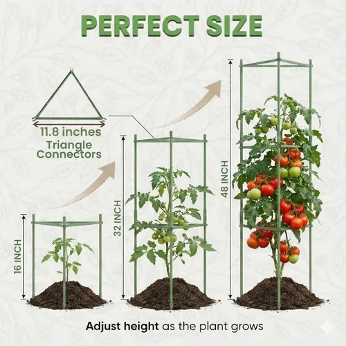 Vista 5 de Jaula de tomate – Estacas grandes de enrejado y estructuras de soporte para plantas para verduras y plantas trepadoras – Jaulas altas para tomate
