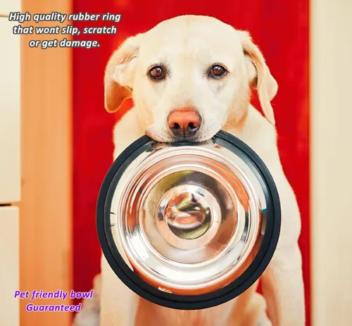 Vista 4 de Estilo Cuencos de acero inoxidable para perros, 32 onzas (juego de 2)