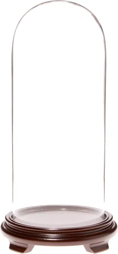 Vista 4 de Plymor Cúpula de cristal de 5.5 x 13 pulgadas (base con patas de chapa de madera negra)