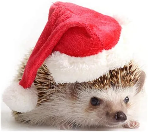 Vista 5 de Ropa de erizo, disfraz de Navidad, traje de Papá Noel, ropa de animal pequeño, forro polar hecho a mano, sudadera con capucha de erizo, accesorios