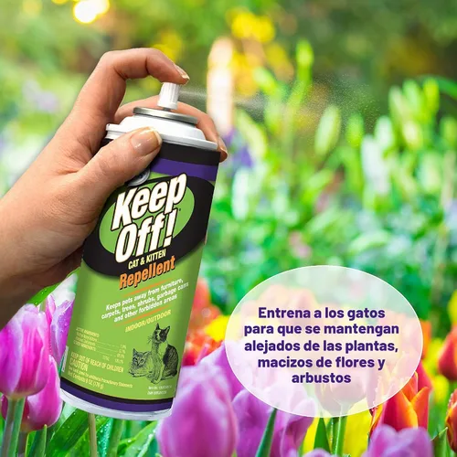 Vista 3 de Four Paws ¡Alejarse! Gato repelente a spray al aire libre y en interiores 6 onzas Chew & scratch deterrent, for cats & kittens, safe for indoor &