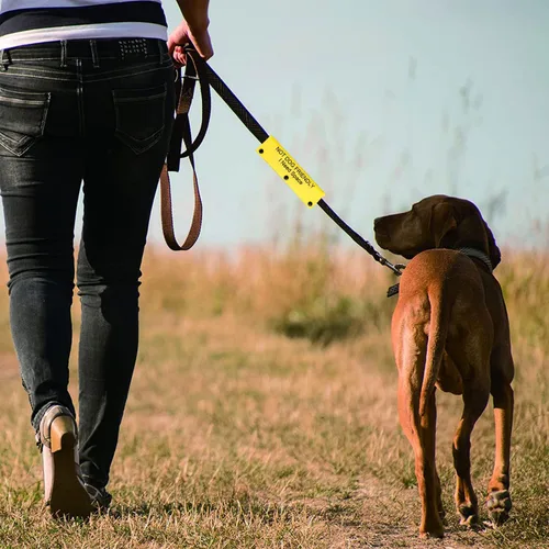Vista 5 de Divertida funda para correa para perro, no apta para perros, alerta colgante, parche de identificación, regalo de cumpleaños para mascotas