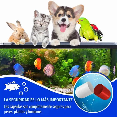 Vista 7 de Bio Cápsulas Limpiador de Tanques de Peces (2)