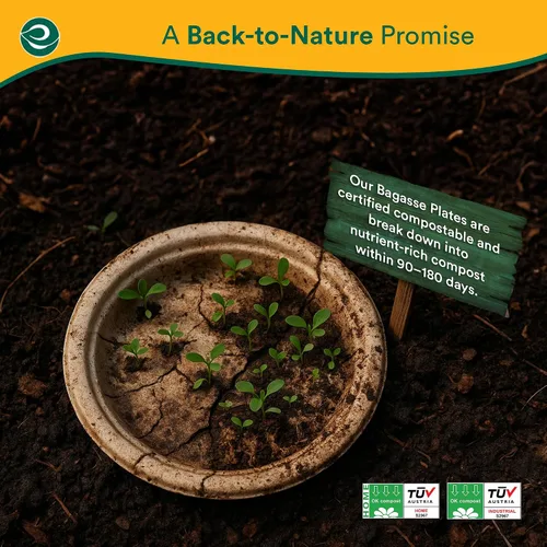 Vista 4 de ECO SOUL - Platos de papel compostables de 9 pulgadas (paquete de 200) biodegradables, resistentes, desechables, ecológicos para cena de Navidad