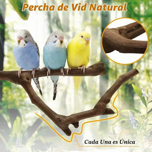 Vista 3 de kathson 3 piezas de perca natural de loro para jaula de madera para pájaros de uva, palito de pájaro de uva, periquitos, ramas de pie, juguete