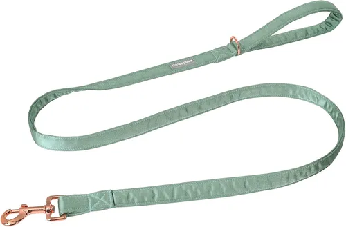 Vista 22 de Lionet Paws Lindo soporte para bolsas de excrementos de perro con bolsa para correa, dispensador de seda para perros, collar a juego Azul
